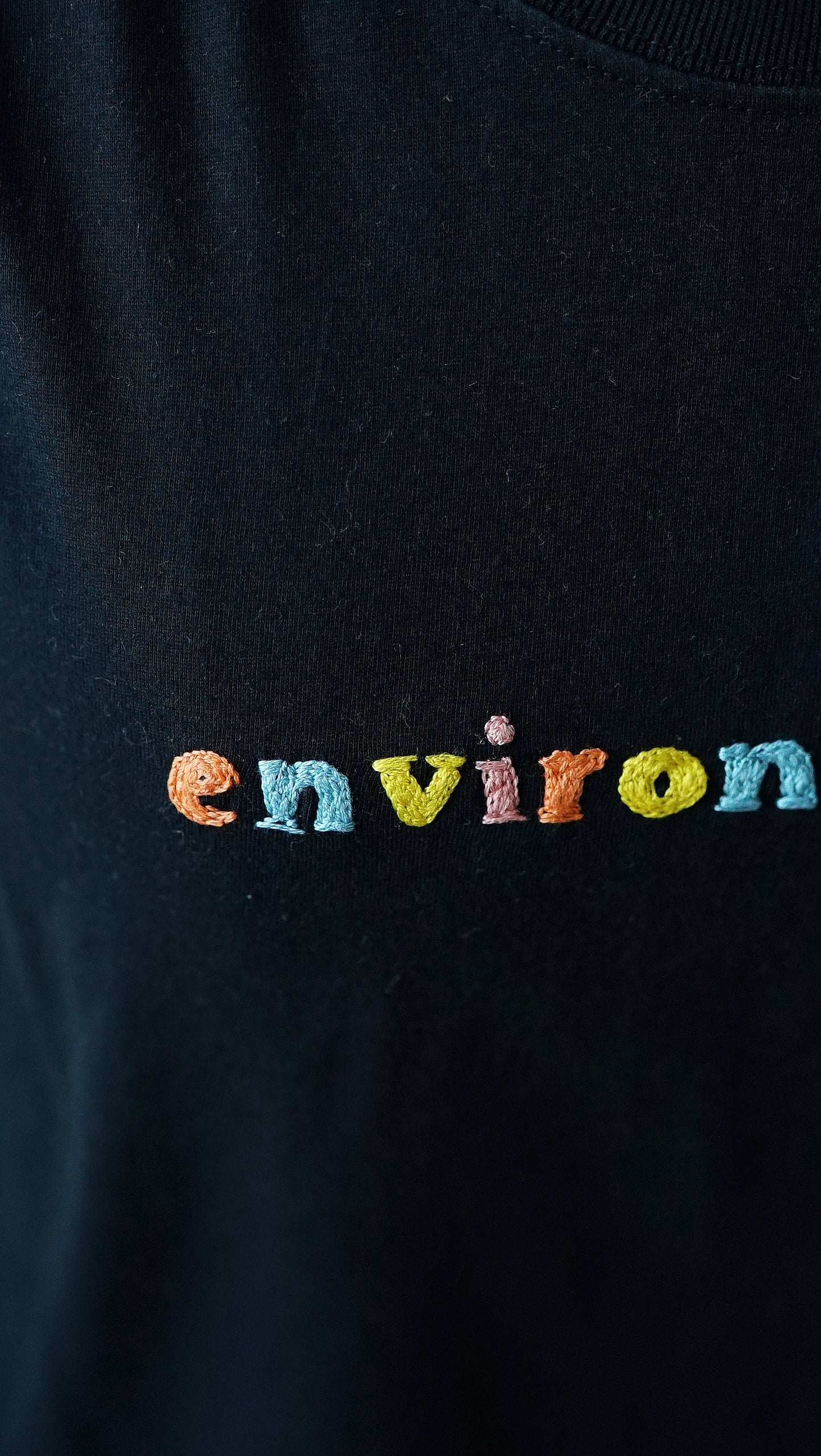 ENVIRONMENTALIST