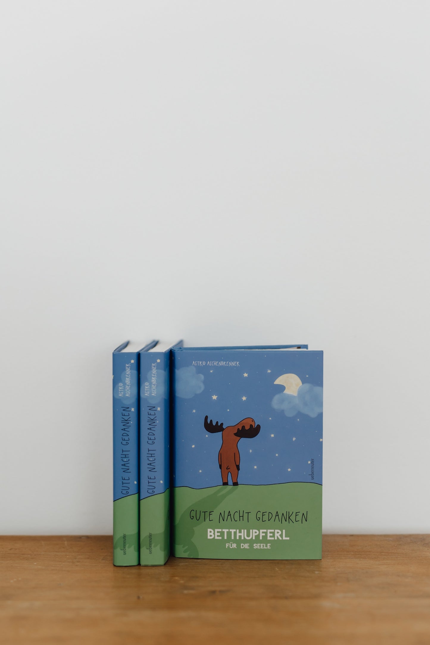 betthupferl, buch, astrid aschenbrenner, gute nacht, schlafengehen, elch, mond sternenhimmel