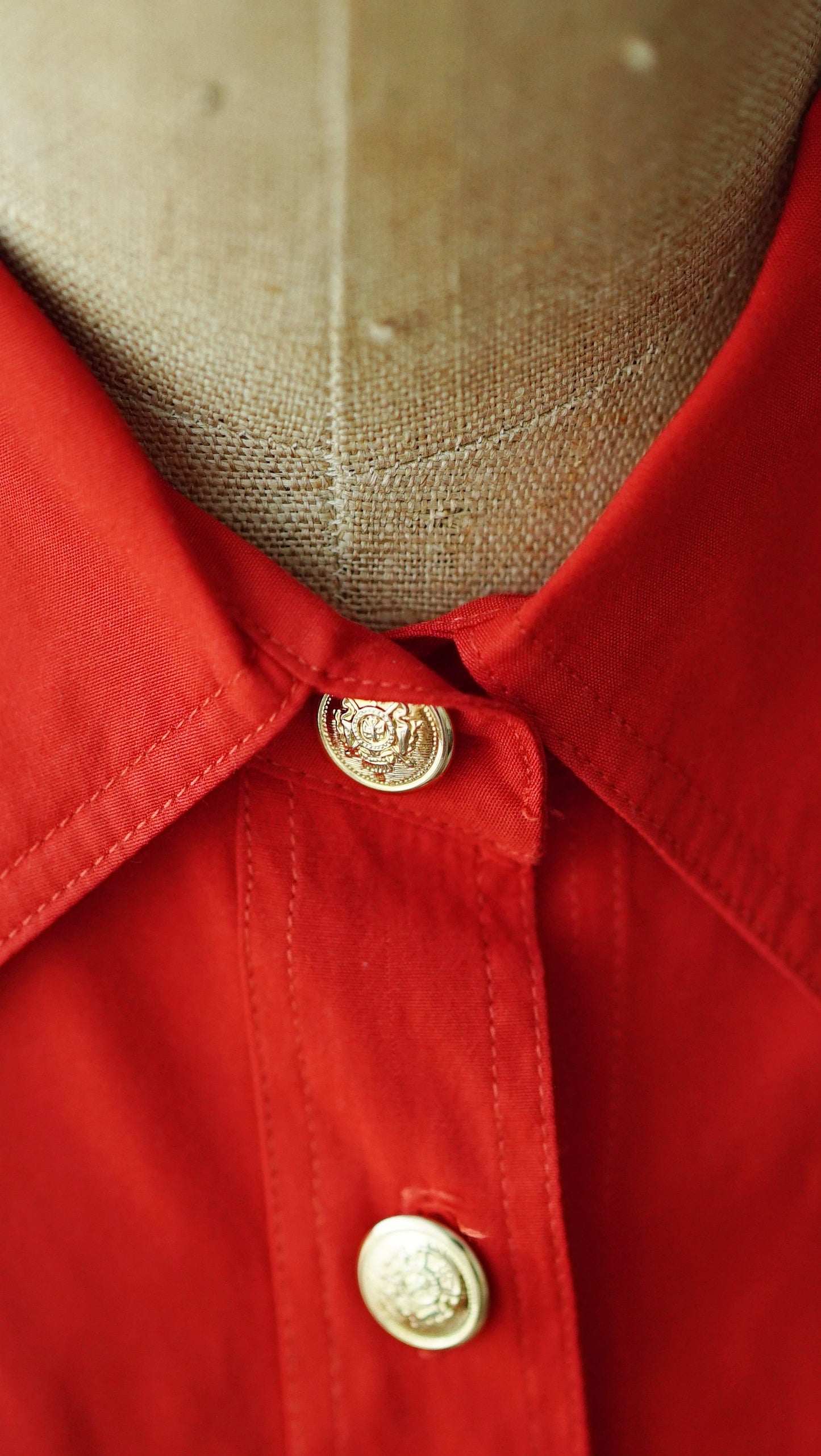 Bluse rot