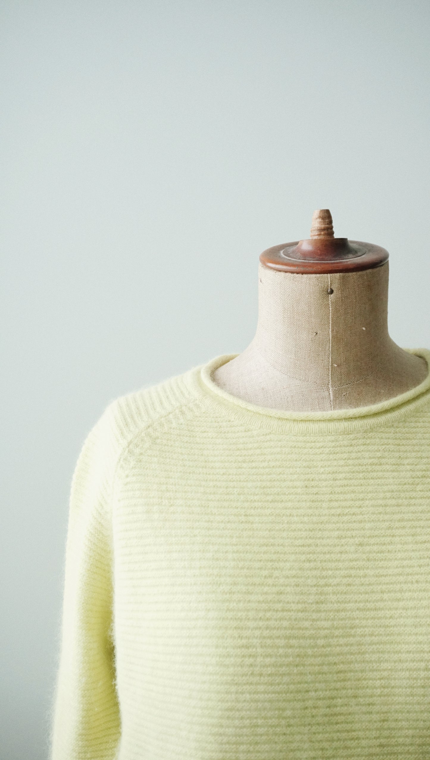 Sweater gelb